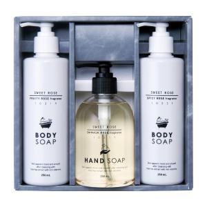 HACCI　ボディウォッシュ ビーハグ　385mL　2本セット 楽天市場】【公式】HACCI ボディウォッシュ BEE HUG モーニング