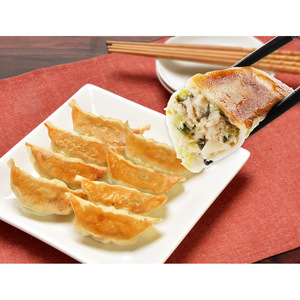都市ガス　餃子 🥟 人参とレモンでさっぱり！野菜ザクザク餃子 🏠 地球を救うギョーザ