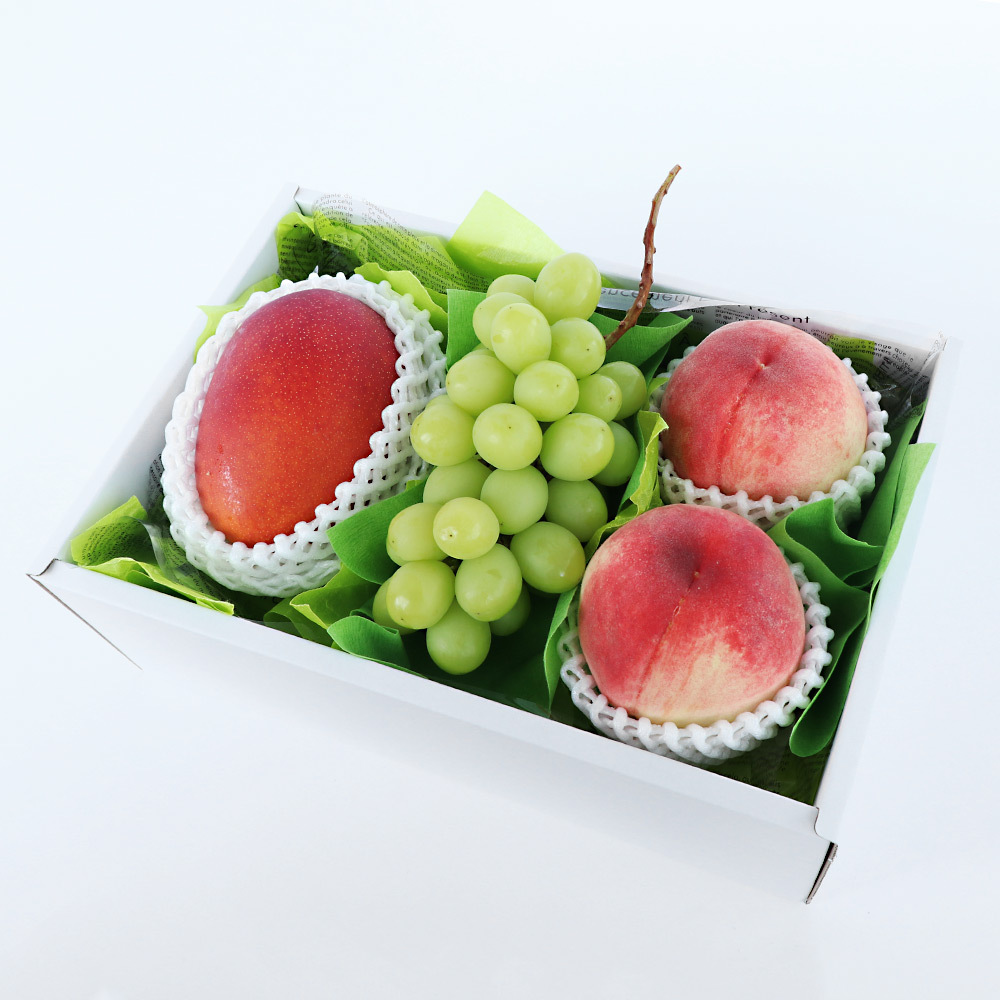 夏の贈り物フルーツギフトE 商品詳細 高島屋オンラインストア