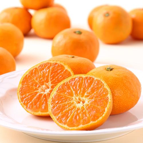 【最適な時期に収穫し、順次発送予定】出島の華 約3kg