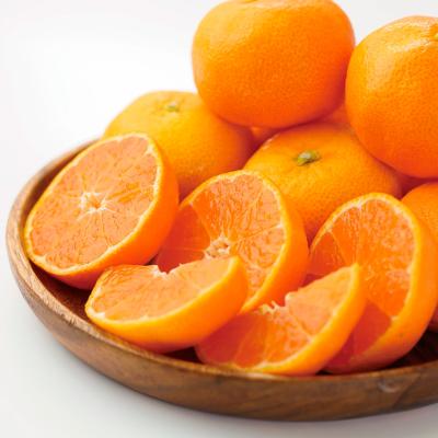 ＜西澤商店＞和歌山・山久農園 有田みかん