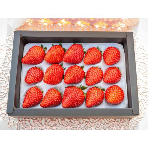 プレミアム贈答いちご