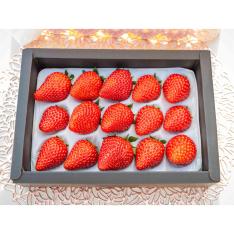 プレミアム贈答いちご