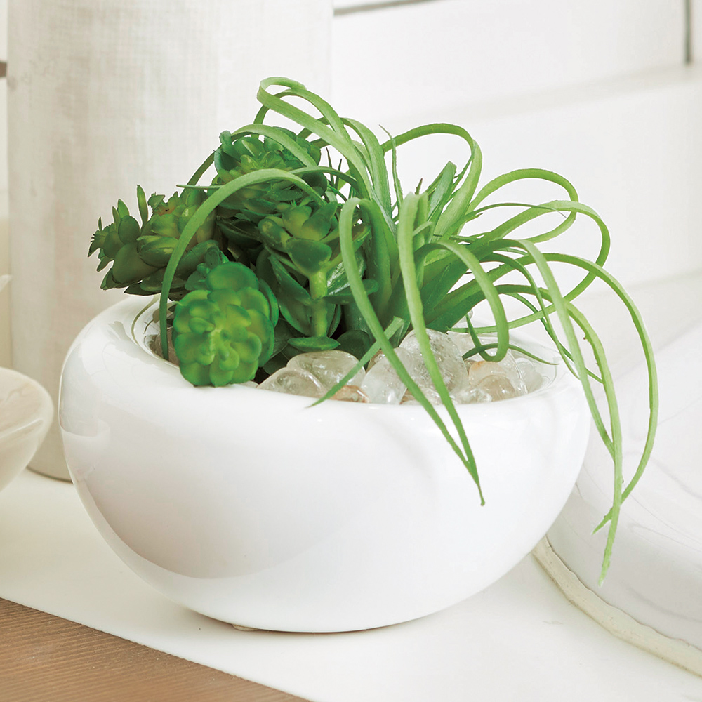 多肉植物 フェイク寄せ植え 商品詳細 高島屋オンラインストア