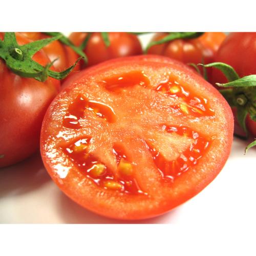 高知県産　徳谷トマト