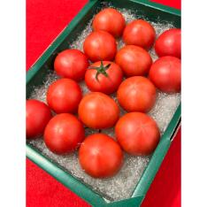 神奈川県産　土方氏 大玉トマト