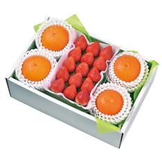 【最適な時期に収穫し、順次発送予定】<紅まどんな・いちご>旬の贈り物フルーツギフト 12K