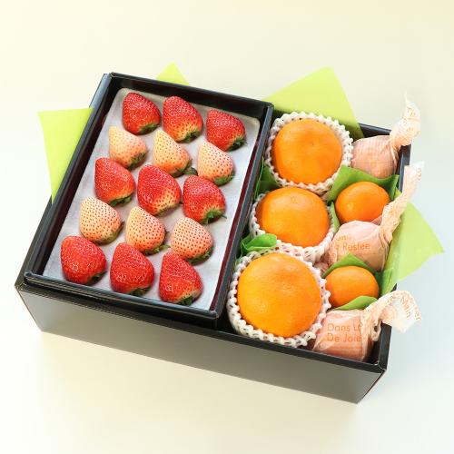 ［紅まどんな・紅白いちご・みかん］冬の贈り物フルーツギフトC
