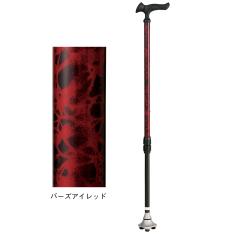 <フジホーム>かるがもサンポイントステッキ