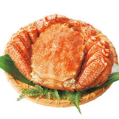 北海道産 毛がに（大）