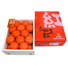 香川県産さぬき紅みかん(2.5kg)