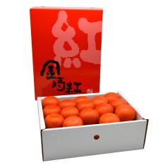 香川県産金時紅みかん