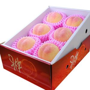 スイカ様♡専用コーナー*\(^o^)/* 千葉県産 富里すいか A等級 MAサイズ 2玉入り （約5〜6kg×2玉