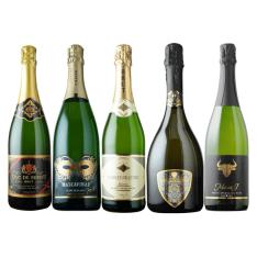 日常使いで気軽に楽しむスパークリング5本セット