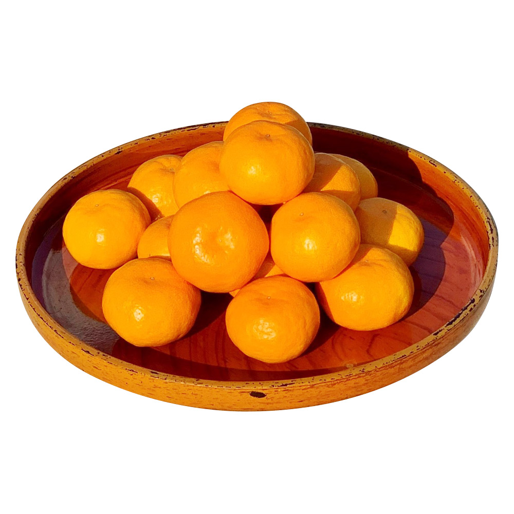 高知県産山北みかん 5kg