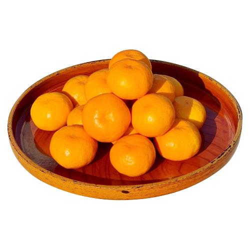 高知県産山北みかん 5kg