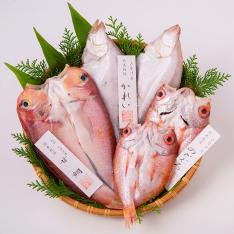 海旬房セット　錦