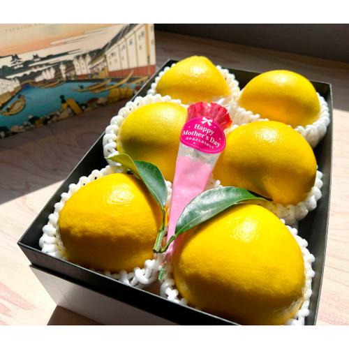 【母の日】HOKUSAIGIFT化粧箱「日向夏」（造花付）