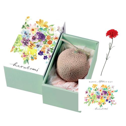 【母の日】マスクメロン（カーネーション造花付）