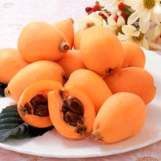 【母の日】長崎県産　びわ