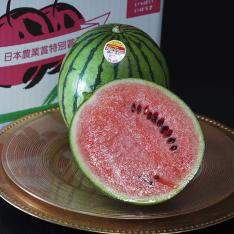 【母の日】茨城小玉すいかスウィートキッズ 2玉