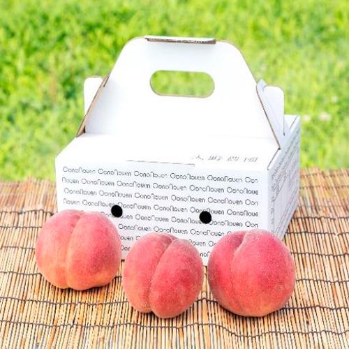 【収穫状況に応じ、順次発送予定】桃　品種おまかせ