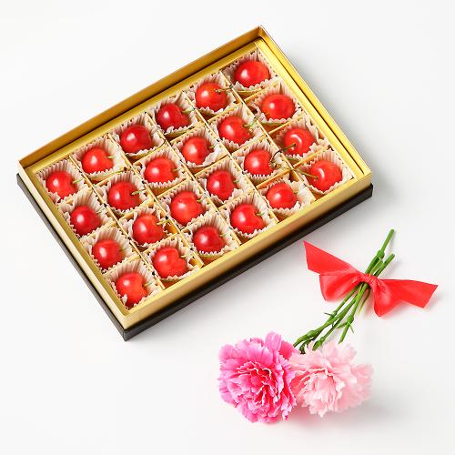 【母の日】＜西澤商店＞山形県産さくらんぼ「佐藤錦」（カーネーション造花2本付）