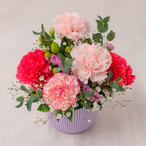 【母の日】生花アレンジメント　Chouchou　Mama（シュシュママ）PK