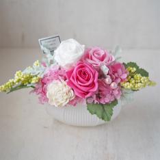 ロペ（ピンク）