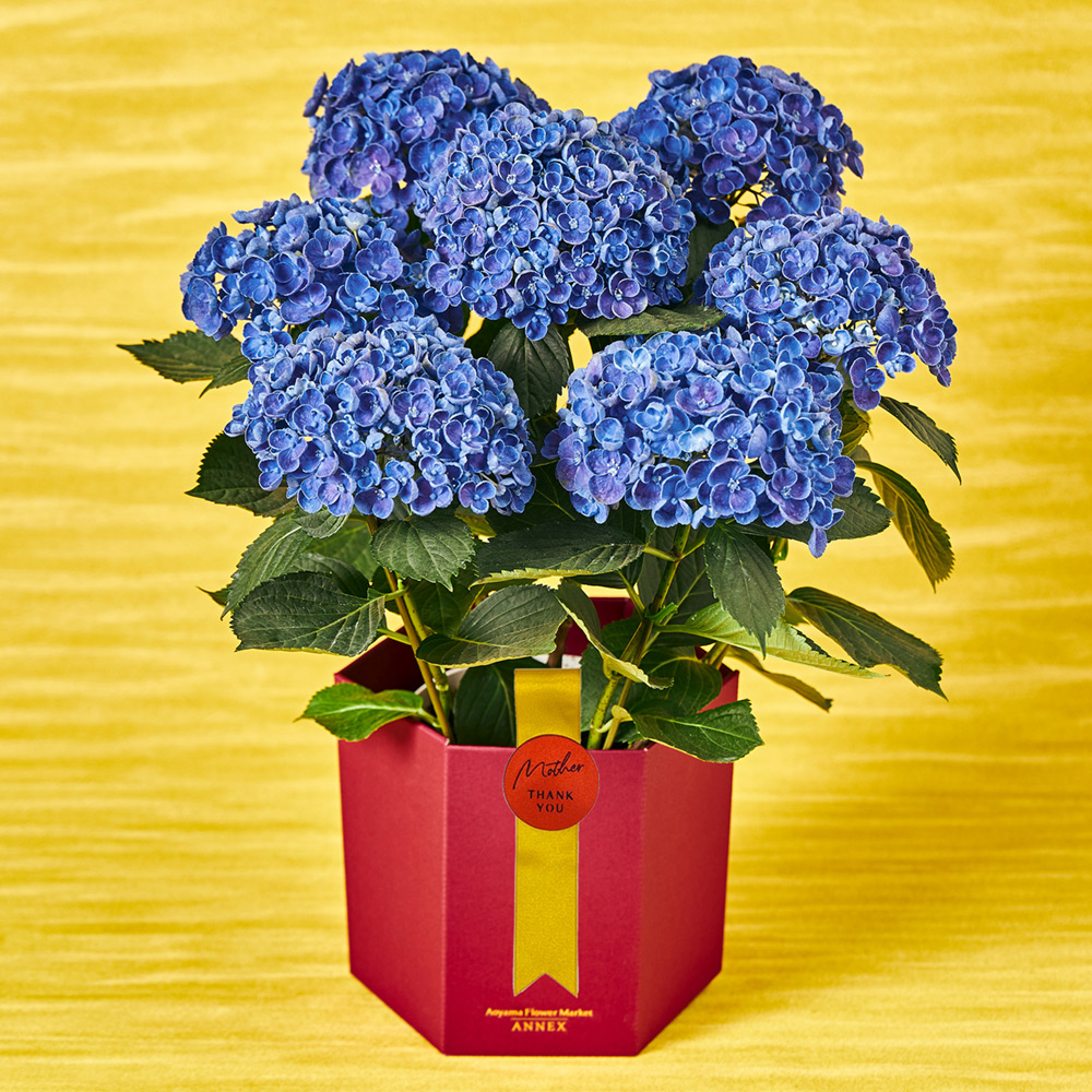 あじさい ホップコーン 商品詳細 高島屋オンラインストア