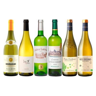 フランス周遊ブルゴーニュ・ボルドー・コートデュローヌ・ラングドック白ワイン6本セット