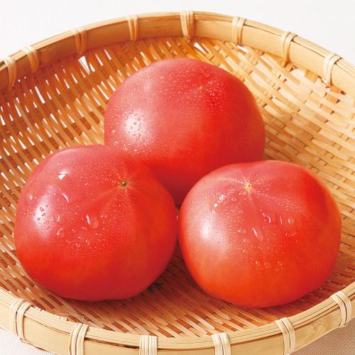 愛知県産 パーフェクトトマト