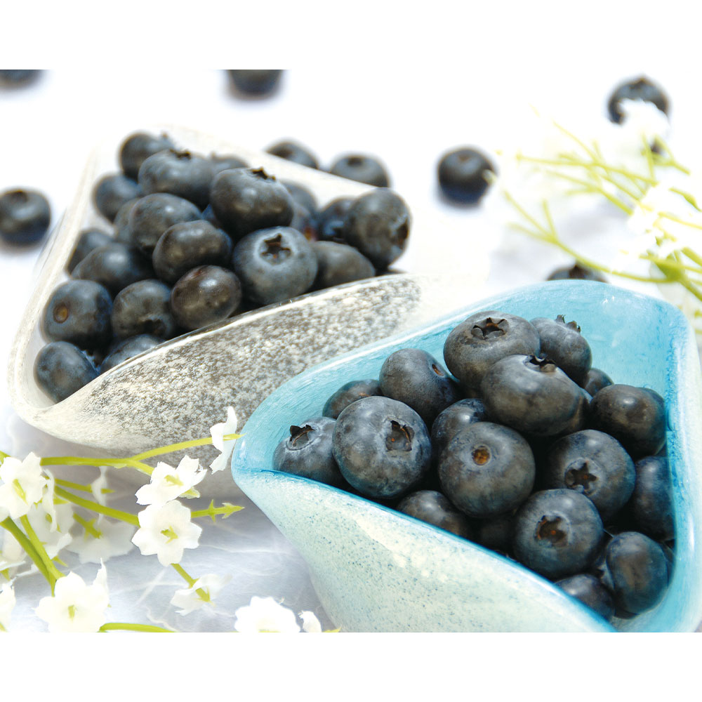 ＜ブルーベリー明野＞生産者限定 小林さんの山梨県産「大粒」ブルーベリー