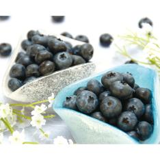 ＜ブルーベリー明野＞生産者限定 小林さんの山梨県産「大粒」ブルーベリー