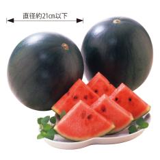 熊本県産 黒こだますいか