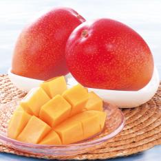 宮崎県産 太陽のタマゴ（マンゴー）