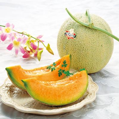 メロン | 旬を愉しむ！ご予約サービス フルーツだより | 特集 | 高島屋