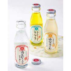 〈友桝飲料〉湯あがり堂サイダー詰合せ