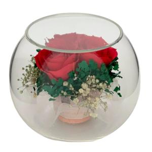 Reine De Fleur（レンデフロール） | ドライフラワー | フラワー