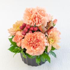 【敬老の日】生花アレンジメント 秋色