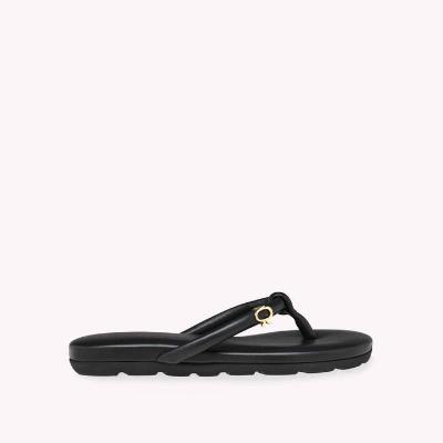 Gianvito Rossi（ジャンヴィト ロッシ） | サンダル・スニーカー