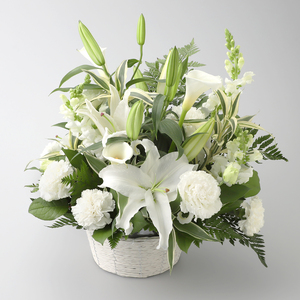 U Goto Florist ゴトウフローリスト リビング ホビー 高島屋オンラインストア