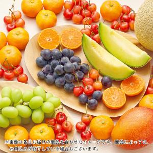 【定期便】旬果実(11-10月届け)