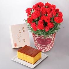 【母の日】カーネーション（赤）＆カステラセット（桐箱入）
