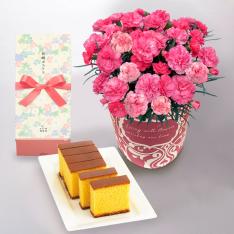 【母の日】カーネーション（さくらもなか）＆プチカステラセット