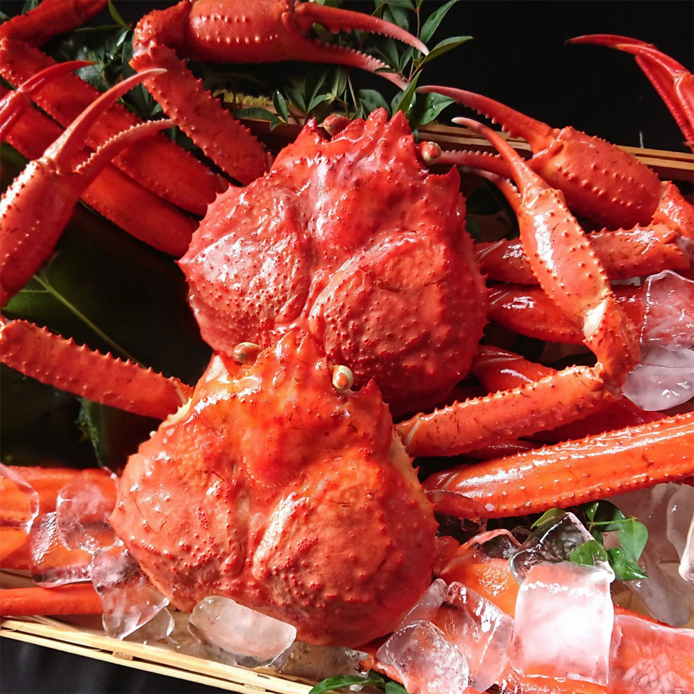 紅ズワイガニ1kg