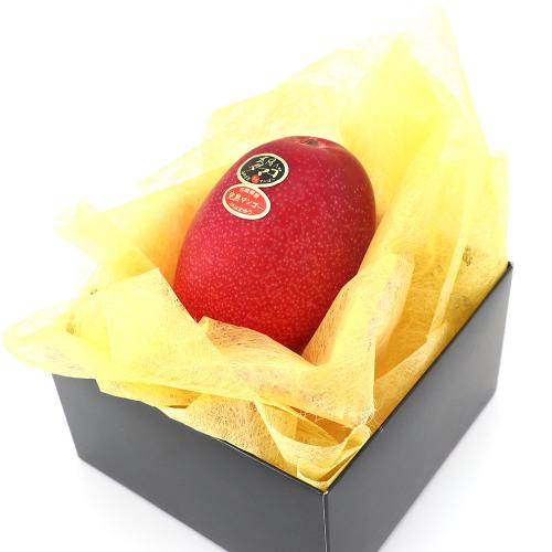 【父の日】宮崎県産完熟マンゴー「太陽のタマゴ」