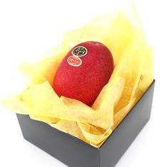 【父の日】宮崎県産完熟マンゴー「太陽のタマゴ」