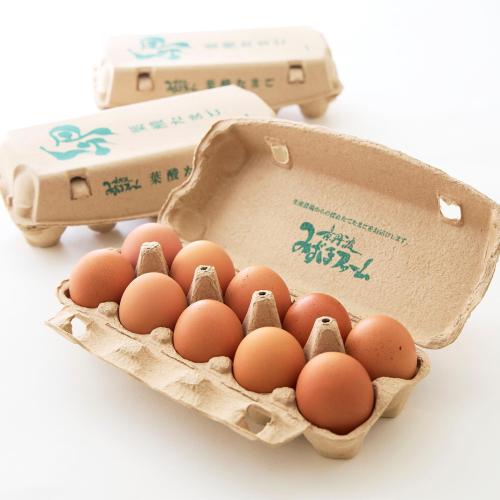 葉酸たまご10個入×3パック