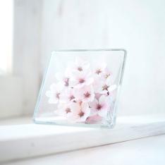 ボトルフラワー 桜スクエアS